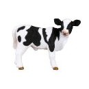 CollectA Friesian Calf, Standing