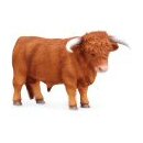 CollectA Highland Bull