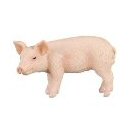 CollectA Piglet