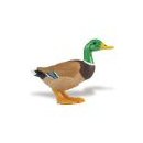 Safari Ltd Duck