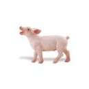 Safari Ltd Piglet