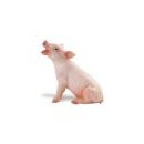 Safari Ltd Sitting Piglet