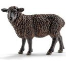 Schleich 13785 - Black Sheep