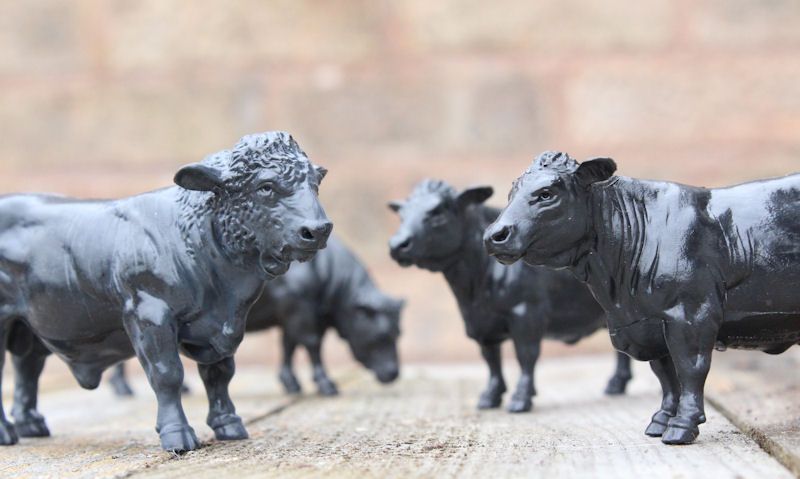 Aberdeen Angus toys