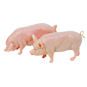 Britains Large White Pigs, Sow