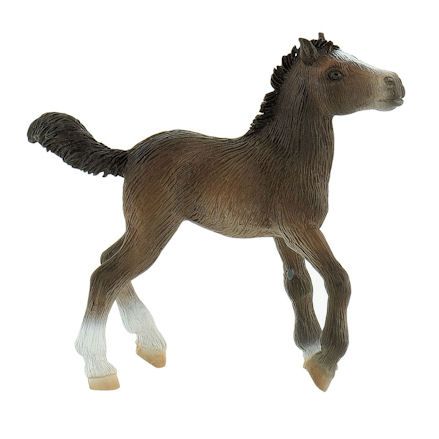 Bullyland Lipizzaner foal