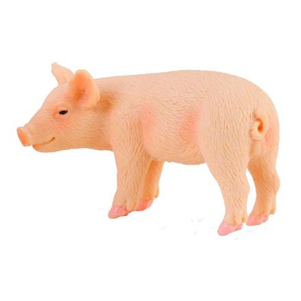 Collecta 33880 Piglet