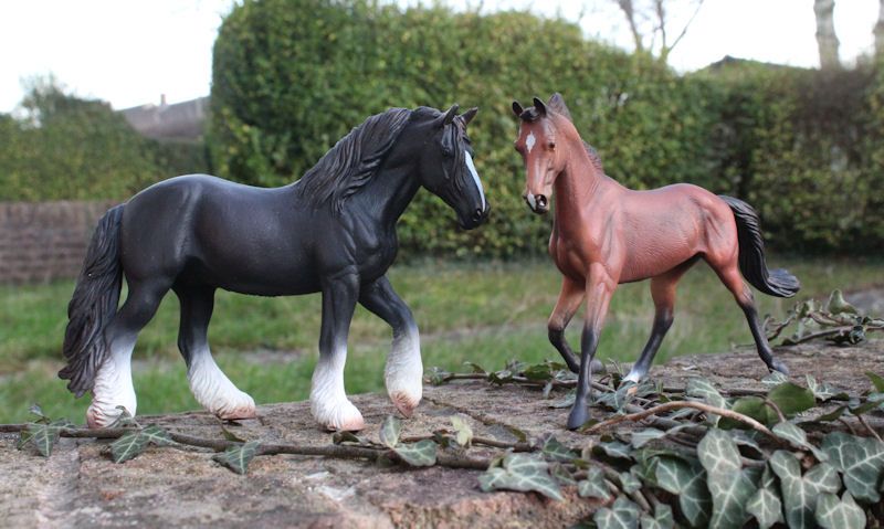 Collecta horses