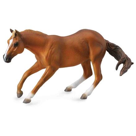 Collecta Quarter