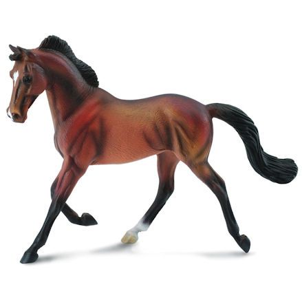 Collecta Thoroughbred