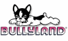 Bullyland