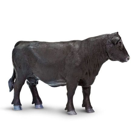 Safari Ltd Angus cow