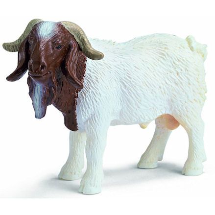 Schleich 13258 Boer he-goat