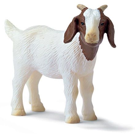 Schleich 13260 Boer Kid