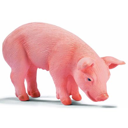 Schleich 13290 Piglet, Eating