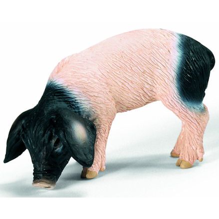 Schleich 13635 Swabian-Hall Piglet, Eating