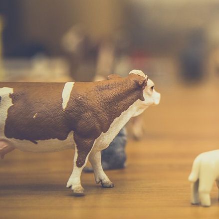Toy Cows