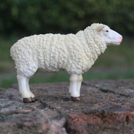 Toy Sheep