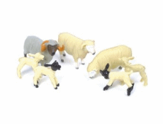 Toy Sheep