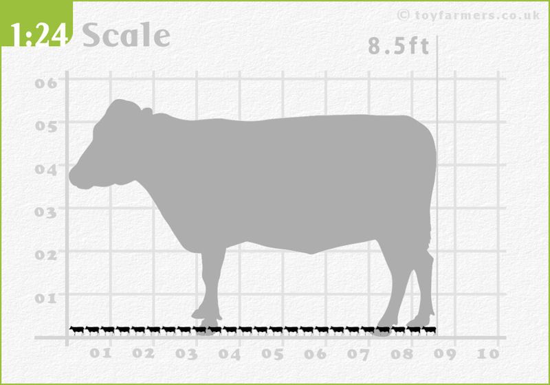 What is 1:24 scale diagram