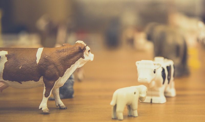 What Scale Are Schleich Animals?